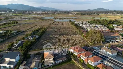 image_rental-31352813