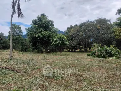 Spacious land plot with lush greenery and trees, ideal for development or agriculture.
