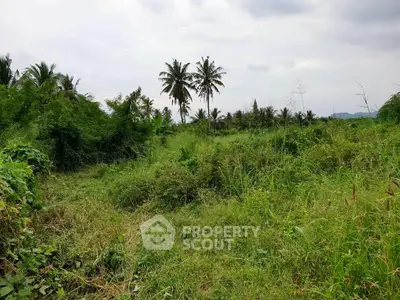 image_rental-26757351