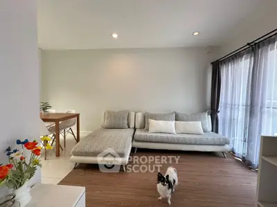 Modern living room with stylish sofa and wooden flooring, featuring a small dog and dining area in the background.