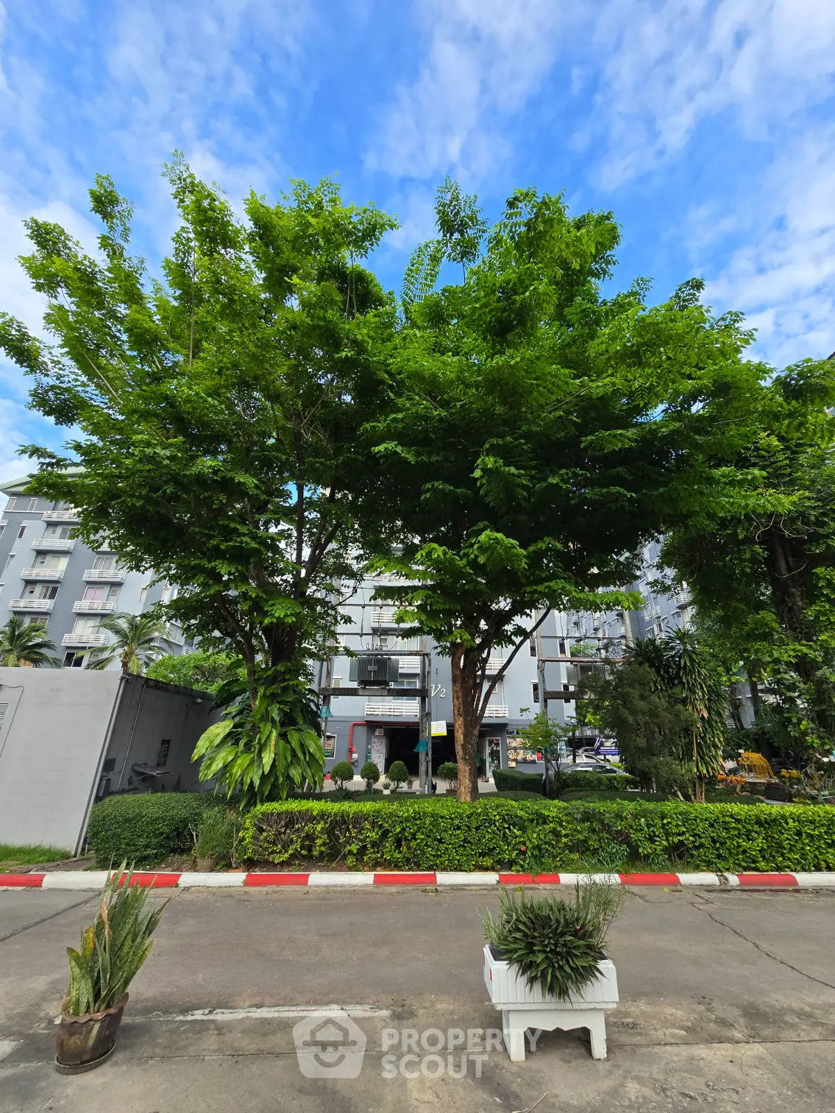 Lush garden view with vibrant trees in a residential complex, perfect for nature lovers seeking tranquility.