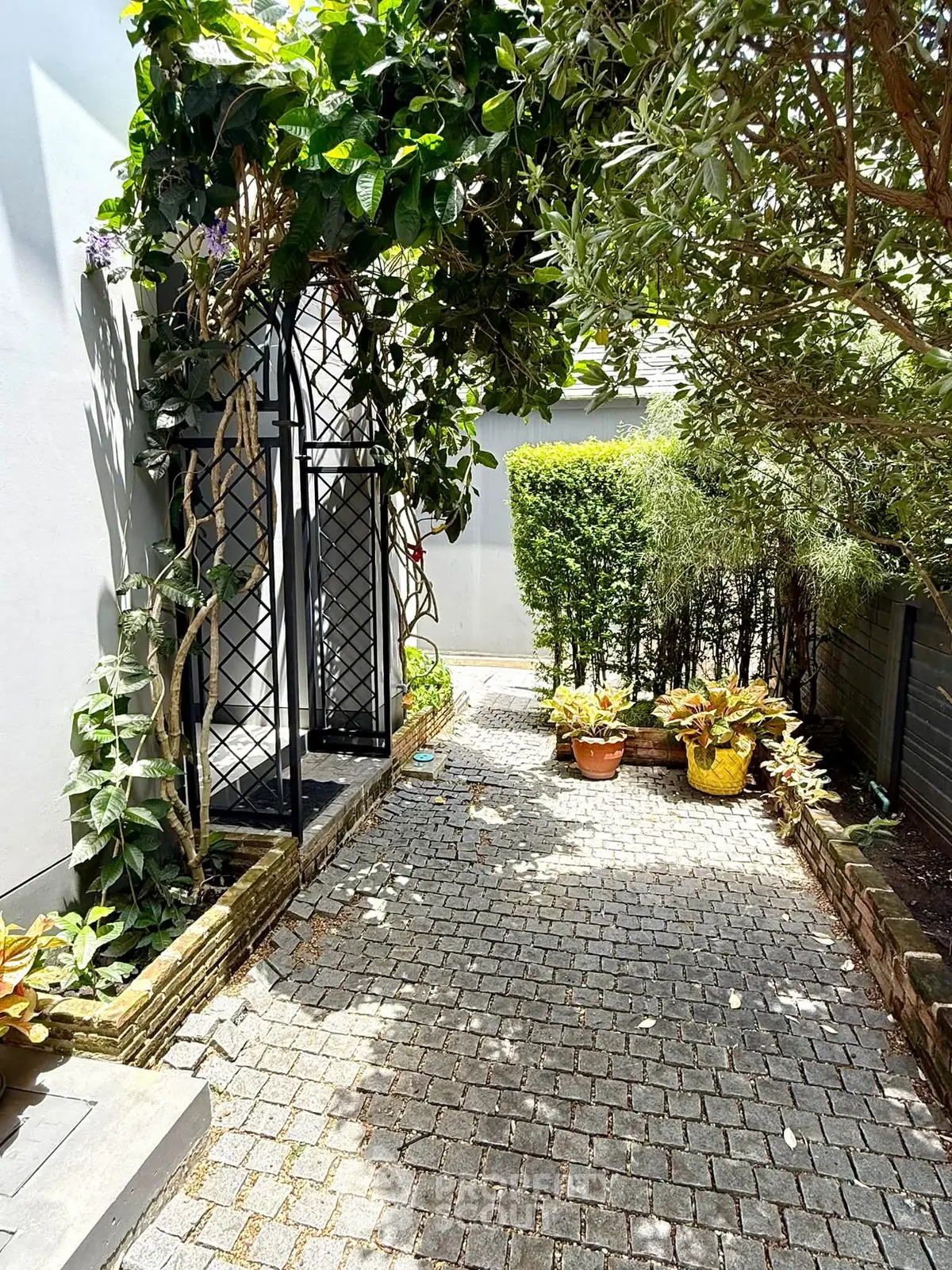 Charming garden pathway with lush greenery and potted plants, perfect for serene outdoor living.