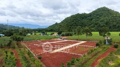 Scenic land plot with lush greenery and mountain backdrop, ideal for development.