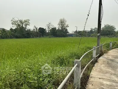 Expansive green field with potential for development, bordered by a rural road and lush vegetation.