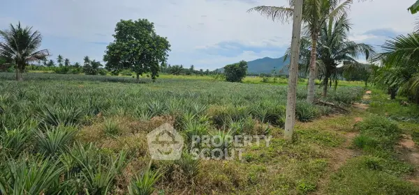 image_rental-28834269