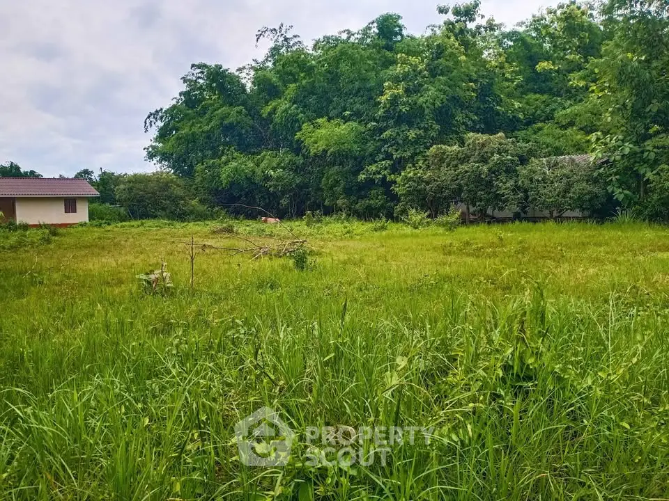 Expansive green land with lush trees and a small building, perfect for development.