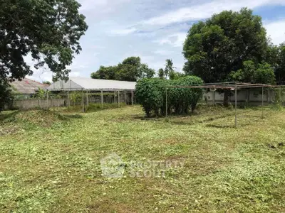 Spacious vacant land with lush greenery and potential for development.