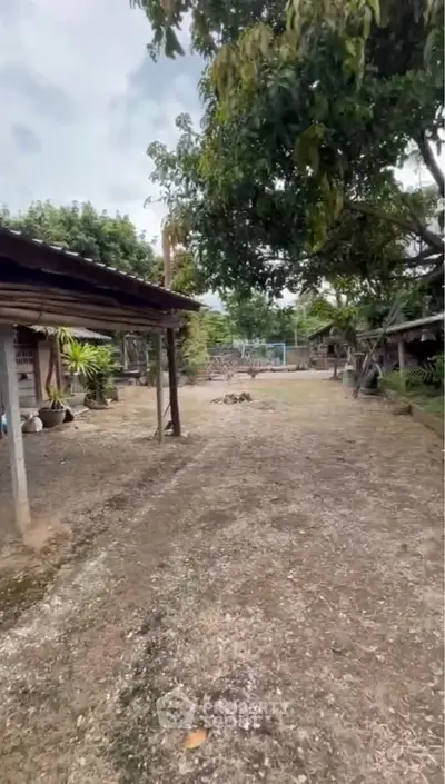 Spacious rural property with open land and mature trees, ideal for development or agriculture.
