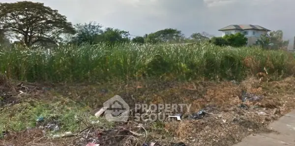 image_rental-30574258