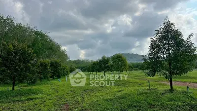 image_rental-31902246
