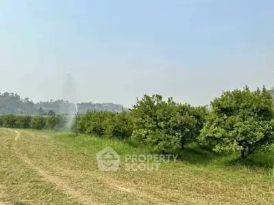 image_rental-29785409