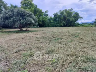 Expansive land plot with lush greenery, perfect for development or agriculture.