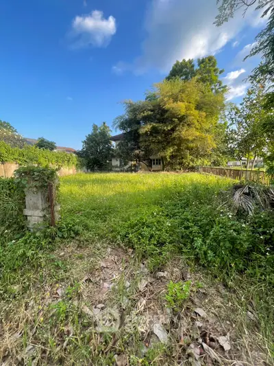 Spacious green garden with lush trees and clear blue sky, perfect for outdoor activities.