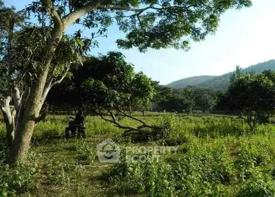 Scenic view of lush green land with trees and hills, perfect for real estate development.