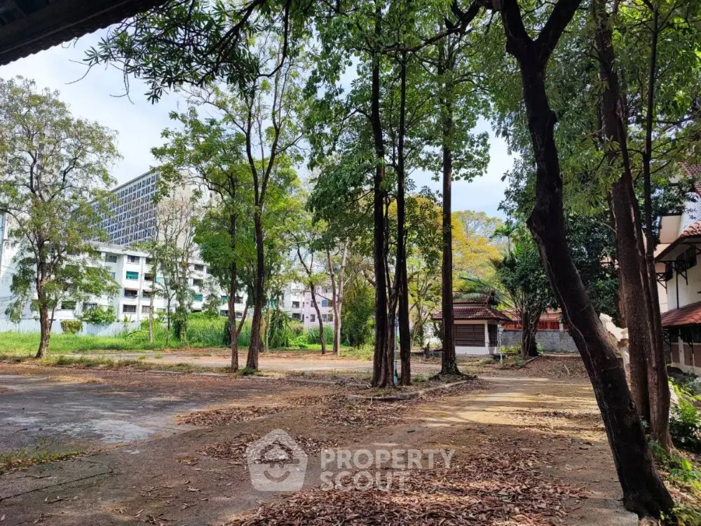 Spacious outdoor area with mature trees and potential for development, offering a serene natural setting.