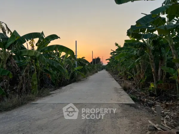 image_rental-31302759