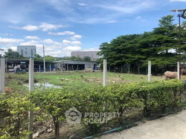 image_rental-21885537