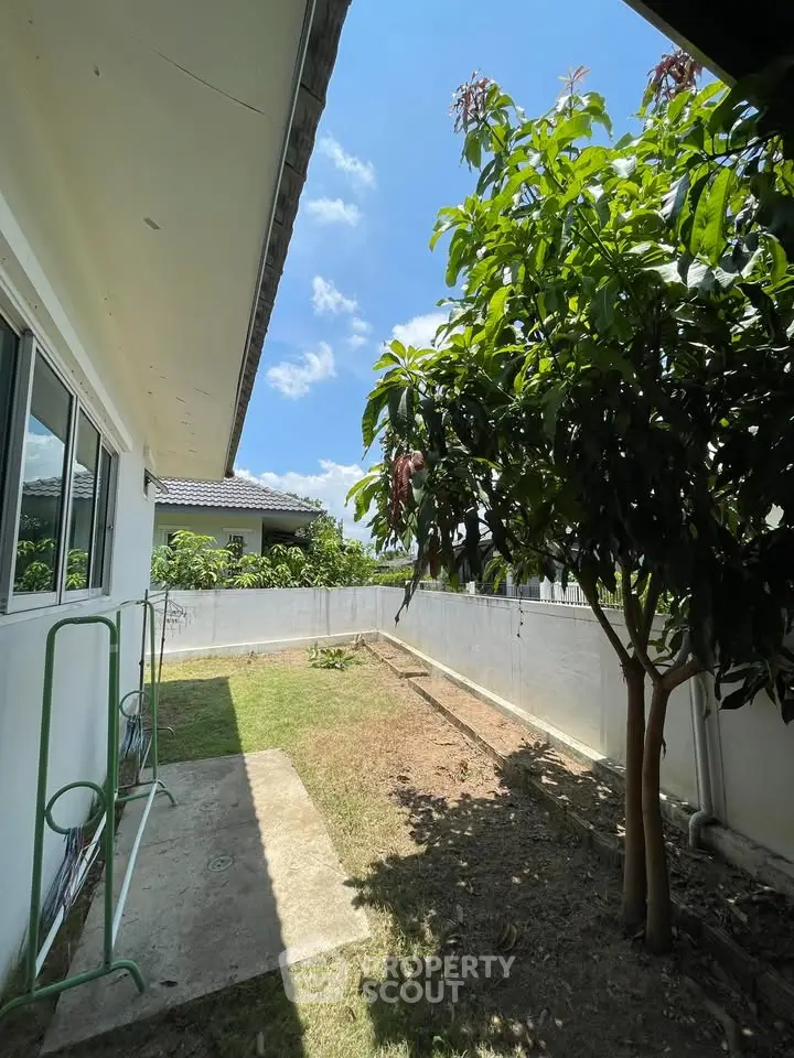 Charming backyard with lush greenery and clear blue sky, perfect for outdoor relaxation and gardening.