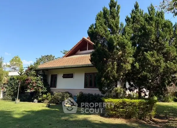 image_rental-29533091