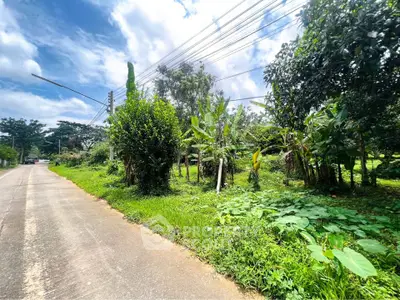 Lush green land plot with road access, perfect for development opportunities.