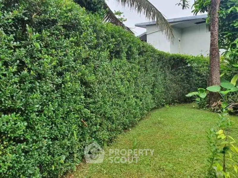 Lush green garden with privacy hedges and tropical trees, perfect for outdoor relaxation.