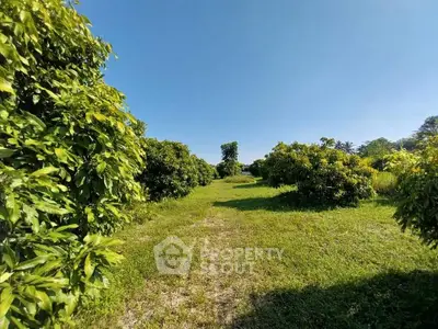 Expansive green garden with lush trees under clear blue sky, perfect for nature lovers.