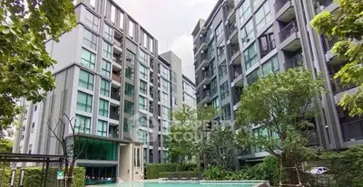 image_rental-31026375