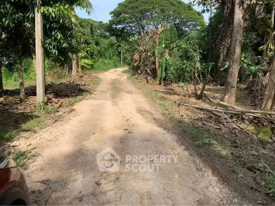 Scenic dirt road surrounded by lush greenery, perfect for nature lovers seeking tranquility.