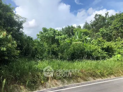 Lush green land plot with road access, ideal for development or investment in a serene natural setting.