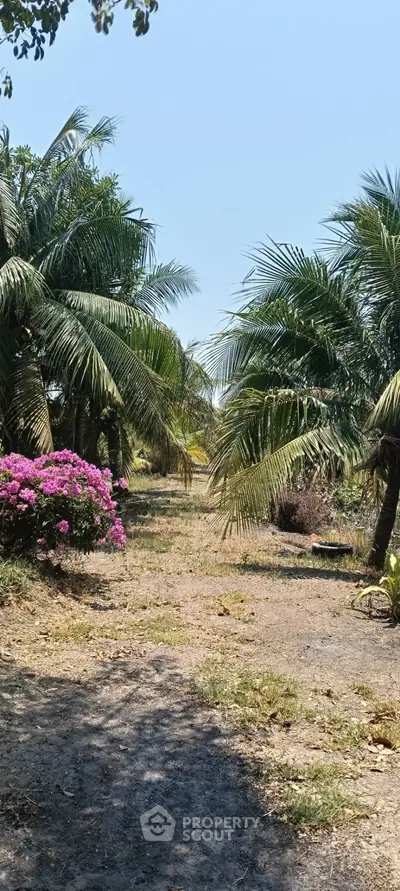 Lush tropical garden pathway with vibrant palm trees and blooming flowers, perfect for serene outdoor living.