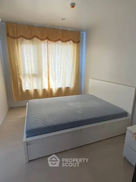 image_rental-29480835