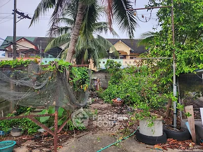 Overgrown garden area with tropical plants and trees, potential for landscaping transformation.