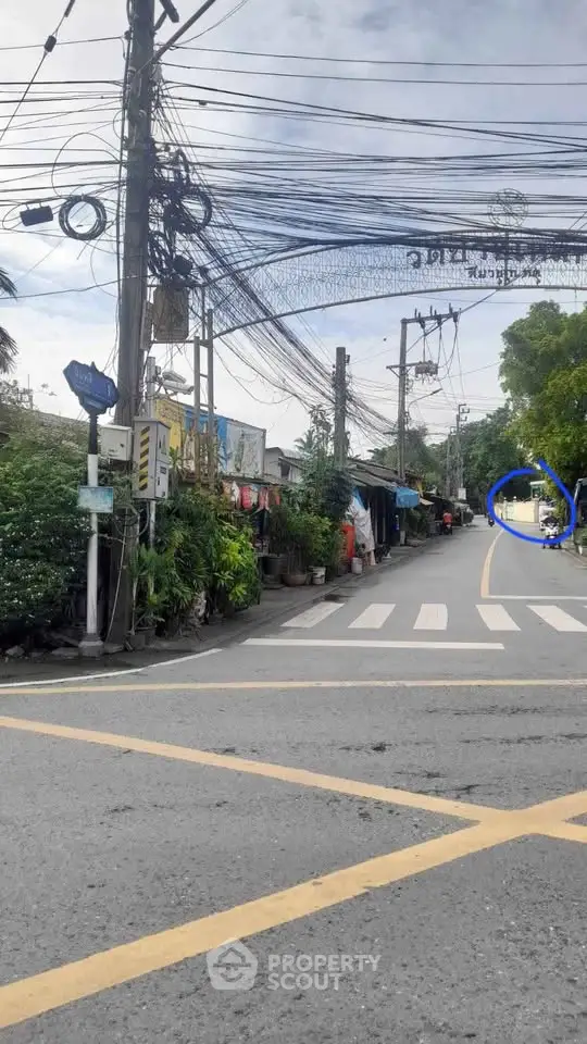 Charming street view with lush greenery and local shops, perfect for urban exploration.