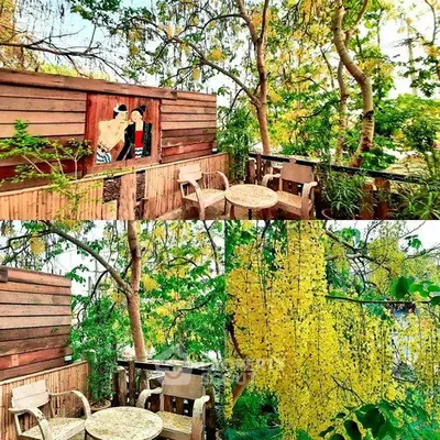 Charming garden balcony with lush greenery and cozy seating area, perfect for relaxation and outdoor enjoyment.