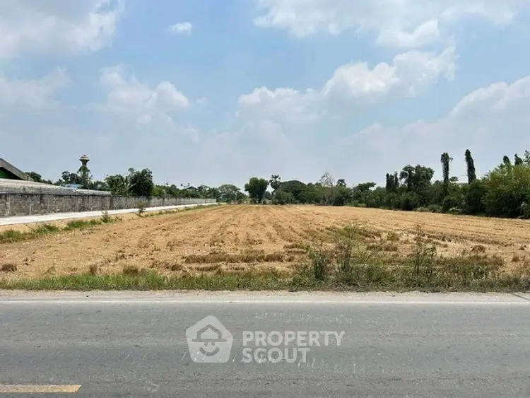 Expansive plot of land with road access, ideal for development opportunities.