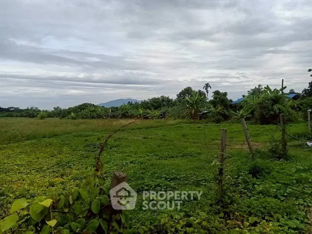 Expansive green land with lush vegetation and scenic mountain views, perfect for development or agriculture.