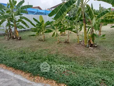 image_rental-30133090