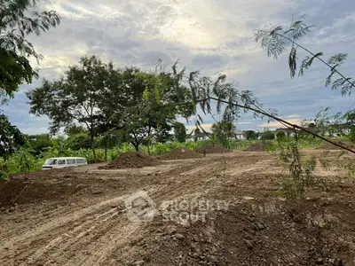 image_rental-29337029