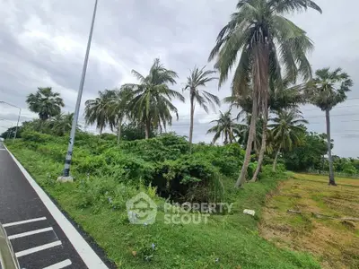 Lush tropical landscape with palm trees and greenery, ideal for real estate development.
