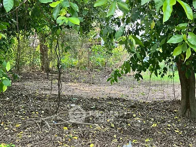 Lush garden area with abundant greenery and natural surroundings, perfect for outdoor relaxation.