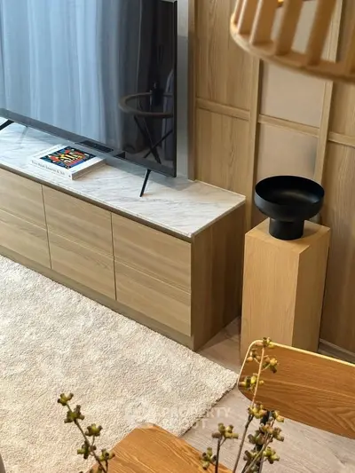 Stylish living room with modern TV stand and elegant decor