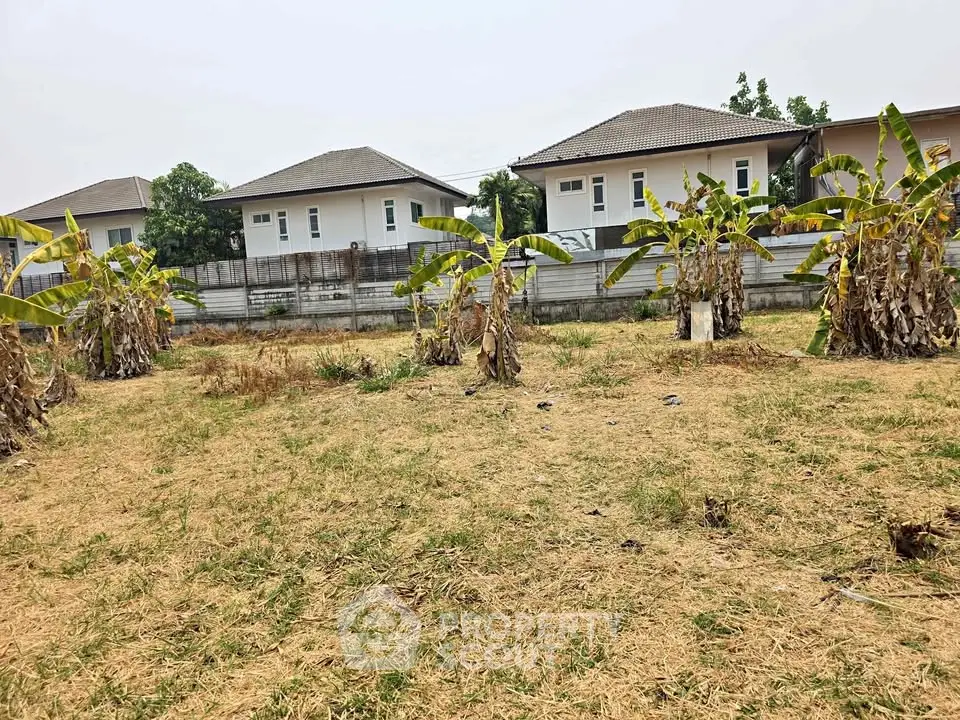 Spacious residential land with banana trees and modern houses in the background, ideal for development.