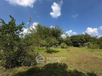 Expansive green land with trees under a clear blue sky, perfect for development or agriculture.