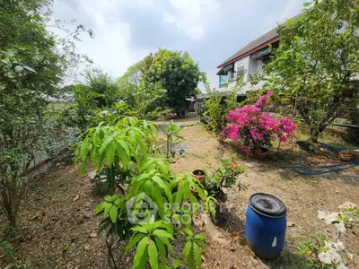 Charming garden view with lush greenery and vibrant flowers in a serene residential setting.