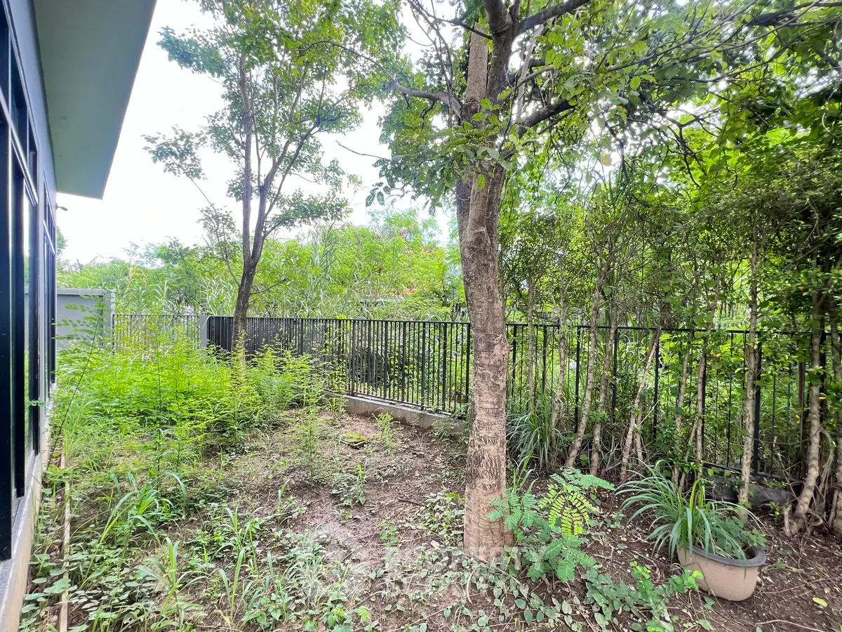 Lush garden area with mature trees and metal fence, perfect for outdoor relaxation.