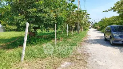 Vacant land plot with lush greenery and roadside access, ideal for development.