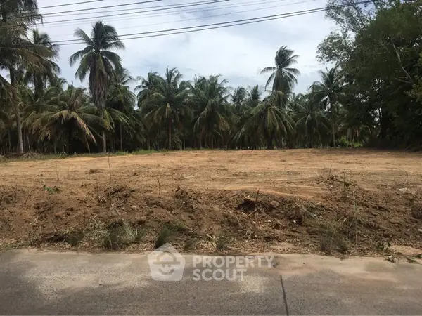 image_rental-12954317