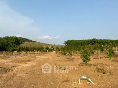 image_rental-16973840