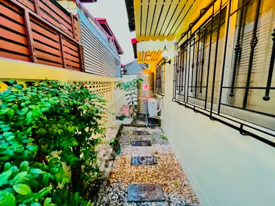 Charming narrow garden path with lush greenery and modern exterior design