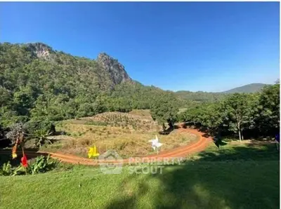 Scenic view of lush green landscape with winding dirt road and mountain backdrop.